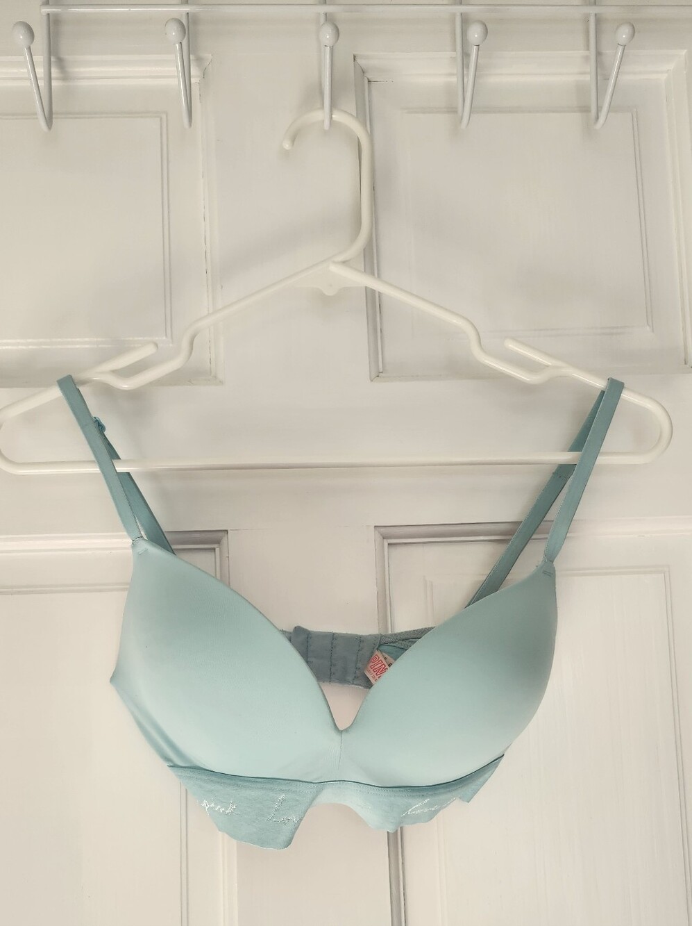 GUC 32D Pink Wear Everywhere Pushup Bra